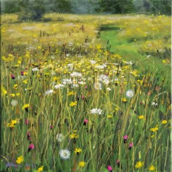 A mown path meanders through a hazy field of yellow flowers in this brilliant summer time landscape by Ciba Karisik.