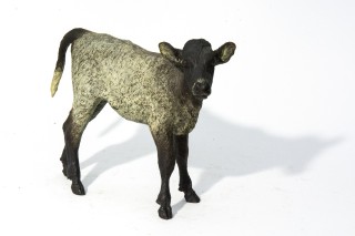 This delightful patinated bronze calf titled 