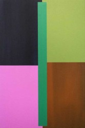 Strong blocks of pink, red-orange, eggplant and olive are pinned by a bar of kelly green to create a subtle optical illusion.