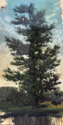 A towering fir tree dominates the canvas in this bold landscape by Peter Hoffer.