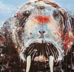 A powerful and noble ‘beast’, this colourful portrait of a walrus was created by Rick Rivet.